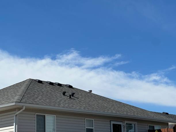 Best Roof Moss and Algae Removal  in Bellville, OH